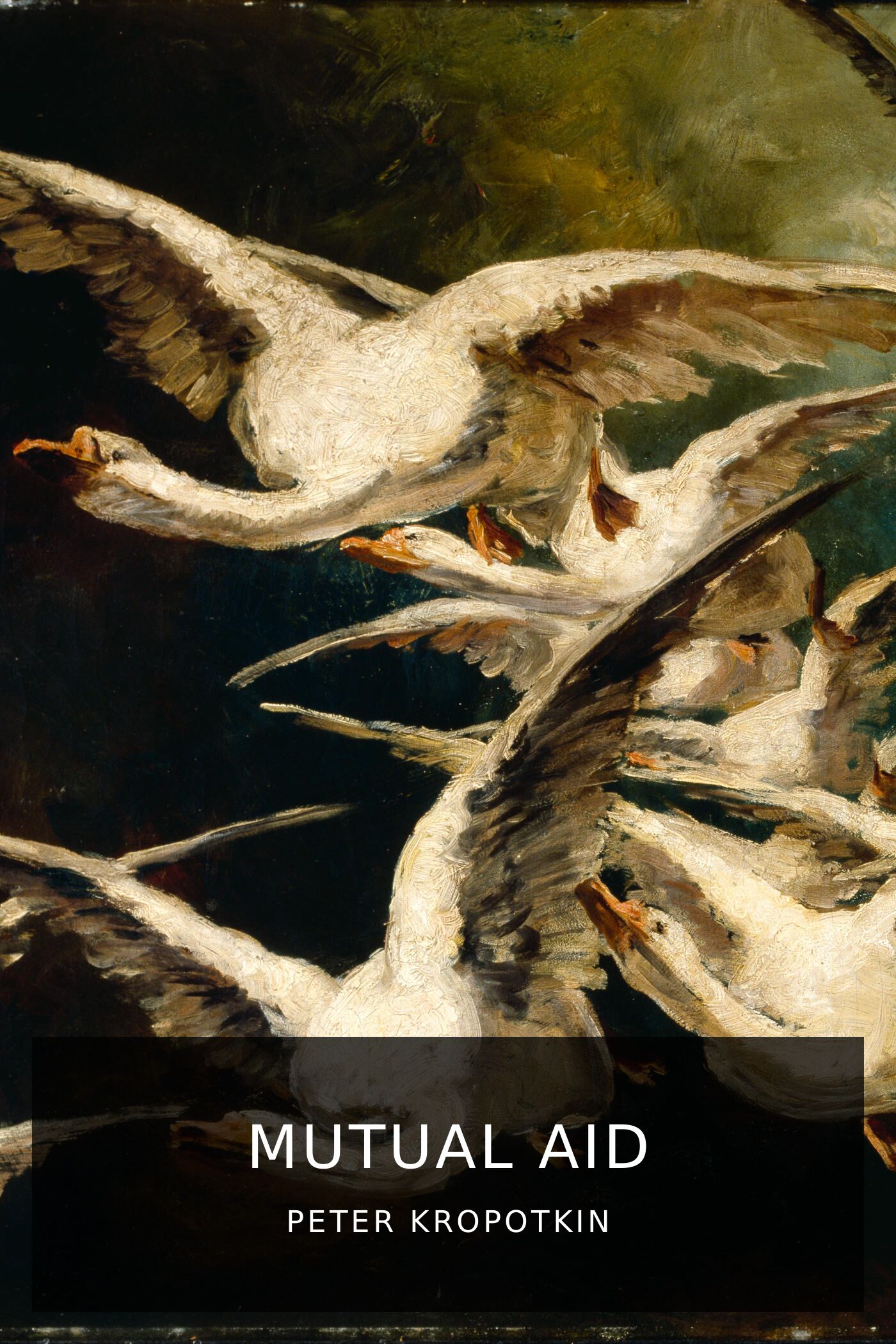 peter-kropotkin_mutual-aid-2.jpeg